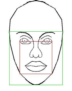 Approximate squares of the face