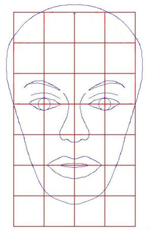 Face grid